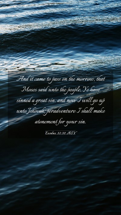 Picture 03 - Exodus 32:30 ASV Mobile Phone Wallpaper - And it came to pass on the morrow, that Moses - Mobile Bible Verse Wallpaper