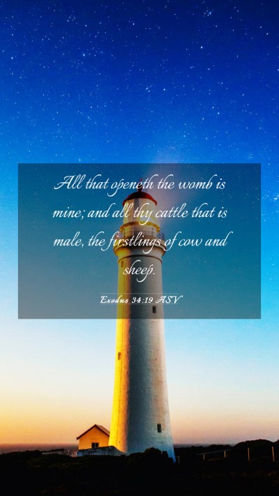 Picture 03 - Exodus 34:19 ASV Mobile Phone Wallpaper - All that openeth the womb is mine; and all thy - Mobile Bible Verse Wallpaper