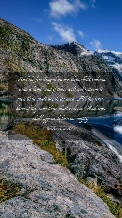 Picture 03 - Exodus 34:20 ASV Mobile Phone Wallpaper - And the firstling of an ass thou shalt redeem - Mobile Bible Verse Wallpaper