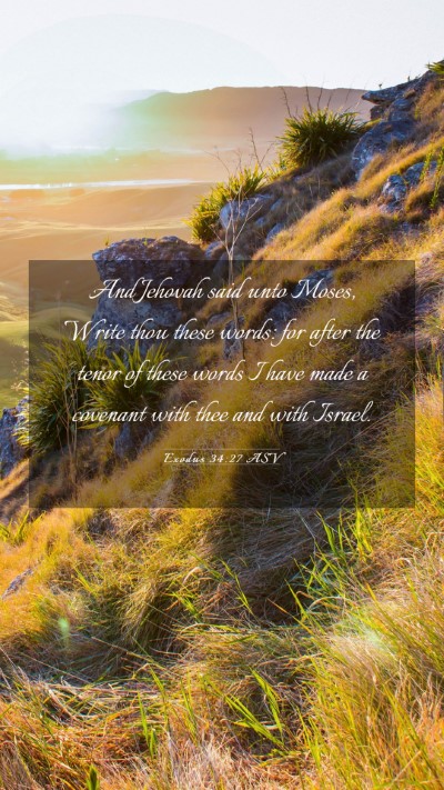 Picture 03 - Exodus 34:27 ASV Mobile Phone Wallpaper - And Jehovah said unto Moses, Write thou these - Mobile Bible Verse Wallpaper