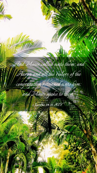 Picture 03 - Exodus 34:31 ASV Mobile Phone Wallpaper - And Moses called unto them; and Aaron and all the - Mobile Bible Verse Wallpaper