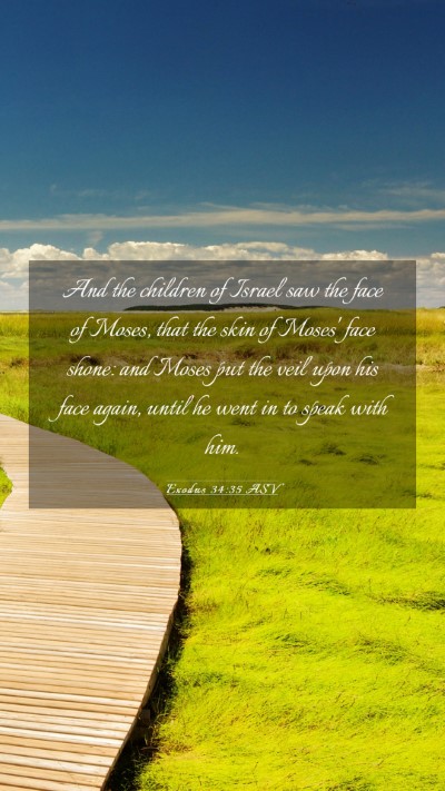 Picture 03 - Exodus 34:35 ASV Mobile Phone Wallpaper - And the children of Israel saw the face of Moses, - Mobile Bible Verse Wallpaper