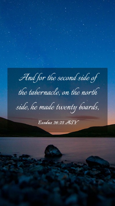 Picture 03 - Exodus 36:25 ASV Mobile Phone Wallpaper - And for the second side of the tabernacle, on the - Mobile Bible Verse Wallpaper