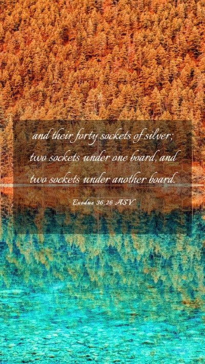 Picture 03 - Exodus 36:26 ASV Mobile Phone Wallpaper - and their forty sockets of silver; two sockets - Mobile Bible Verse Wallpaper