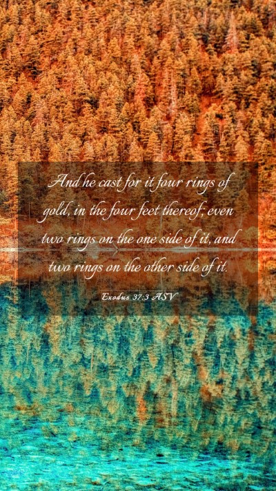 Picture 03 - Exodus 37:3 ASV Mobile Phone Wallpaper - And he cast for it four rings of gold, in the - Mobile Bible Verse Wallpaper