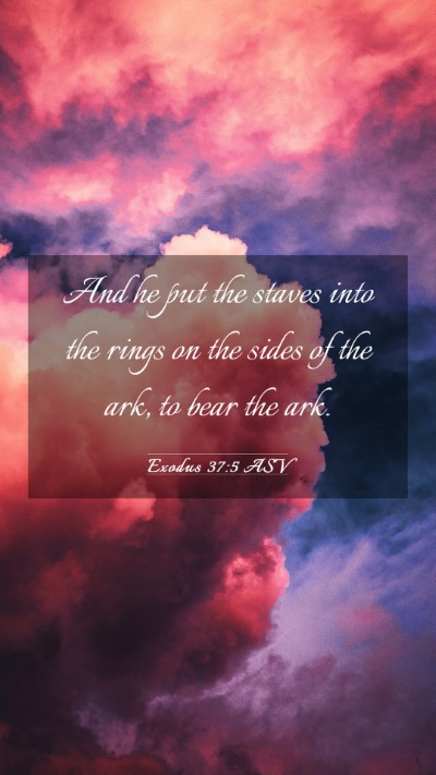 Picture 03 - Exodus 37:5 ASV Mobile Phone Wallpaper - And he put the staves into the rings on the sides - Mobile Bible Verse Wallpaper