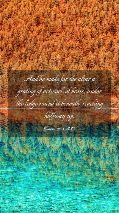 Picture 03 - Exodus 38:4 ASV Mobile Phone Wallpaper - And he made for the altar a grating of network of - Mobile Bible Verse Wallpaper