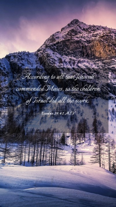 Picture 03 - Exodus 39:42 ASV Mobile Phone Wallpaper - According to all that Jehovah commanded Moses, so - Mobile Bible Verse Wallpaper