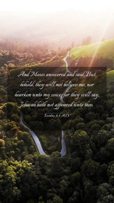 Picture 03 - Exodus 4:1 ASV Mobile Phone Wallpaper - And Moses answered and said, But, behold, they - Mobile Bible Verse Wallpaper
