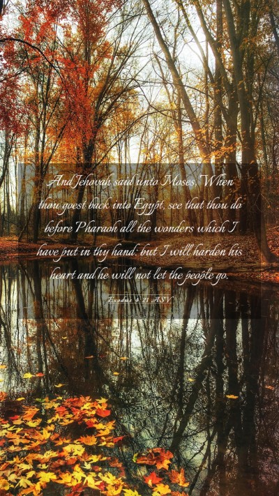 Picture 03 - Exodus 4:21 ASV Mobile Phone Wallpaper - And Jehovah said unto Moses, When thou goest back - Mobile Bible Verse Wallpaper