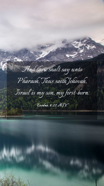 Picture 03 - Exodus 4:22 ASV Mobile Phone Wallpaper - And thou shalt say unto Pharaoh, Thus saith - Mobile Bible Verse Wallpaper
