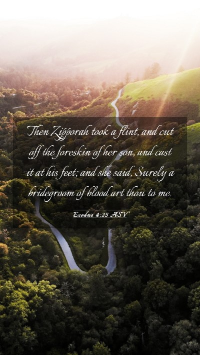 Picture 03 - Exodus 4:25 ASV Mobile Phone Wallpaper - Then Zipporah took a flint, and cut off the - Mobile Bible Verse Wallpaper