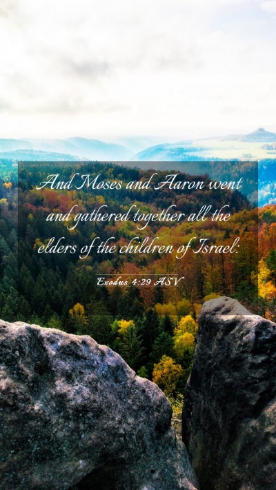 Picture 03 - Exodus 4:29 ASV Mobile Phone Wallpaper - And Moses and Aaron went and gathered together - Mobile Bible Verse Wallpaper