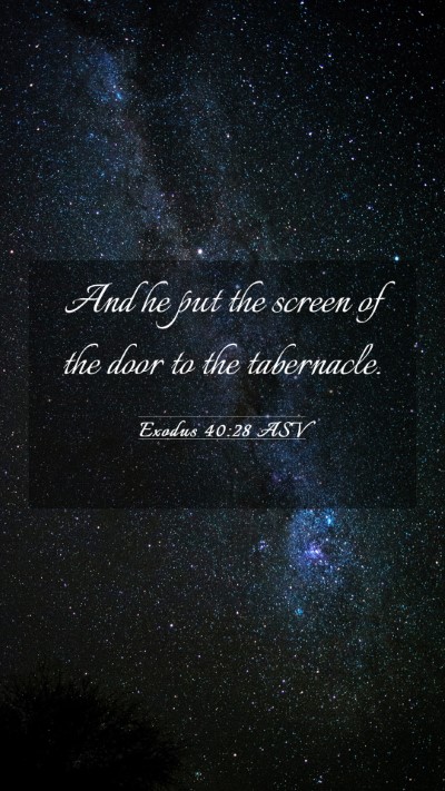 Picture 03 - Exodus 40:28 ASV Mobile Phone Wallpaper - And he put the screen of the door to the - Mobile Bible Verse Wallpaper