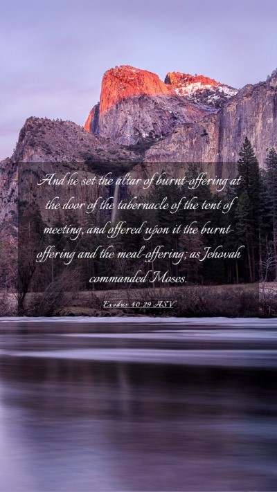 Picture 03 - Exodus 40:29 ASV Mobile Phone Wallpaper - And he set the altar of burnt-offering at the - Mobile Bible Verse Wallpaper