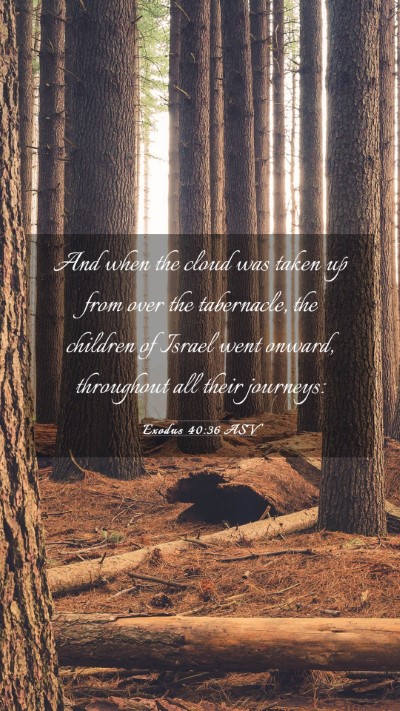 Picture 03 - Exodus 40:36 ASV Mobile Phone Wallpaper - And when the cloud was taken up from over the - Mobile Bible Verse Wallpaper