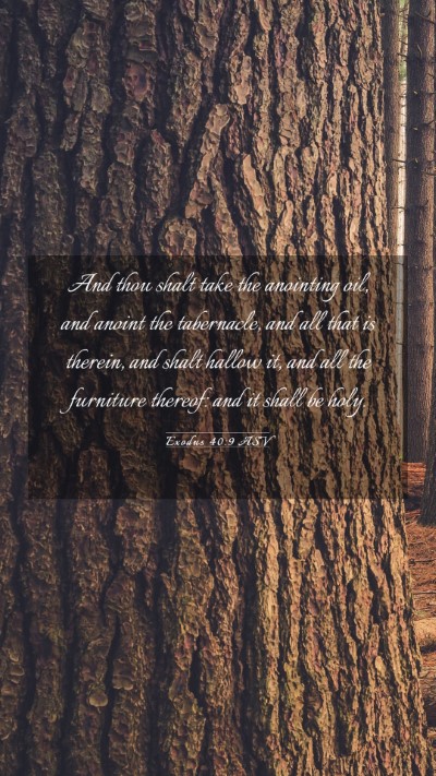 Picture 03 - Exodus 40:9 ASV Mobile Phone Wallpaper - And thou shalt take the anointing oil, and anoint - Mobile Bible Verse Wallpaper