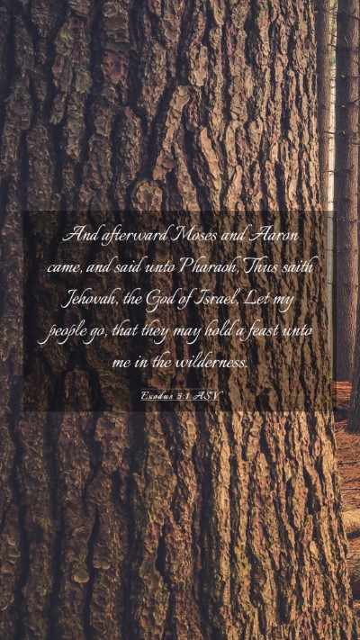 Picture 03 - Exodus 5:1 ASV Mobile Phone Wallpaper - And afterward Moses and Aaron came, and said unto - Mobile Bible Verse Wallpaper