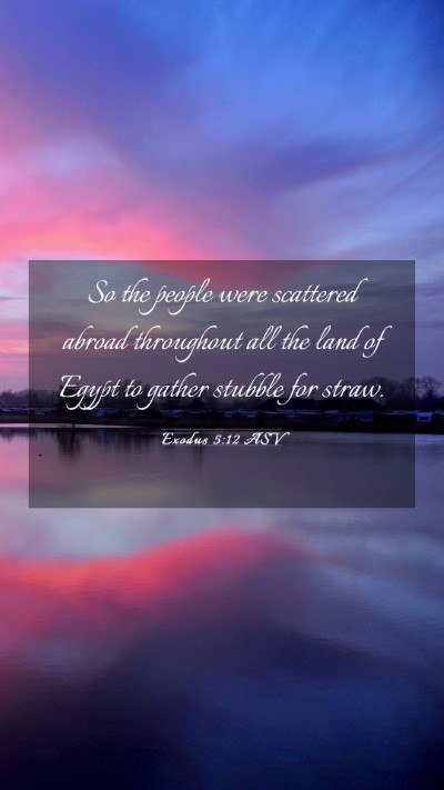 Picture 03 - Exodus 5:12 ASV Mobile Phone Wallpaper - So the people were scattered abroad throughout - Mobile Bible Verse Wallpaper