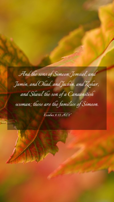 Picture 03 - Exodus 6:15 ASV Mobile Phone Wallpaper - And the sons of Simeon: Jemuel, and Jamin, and - Mobile Bible Verse Wallpaper