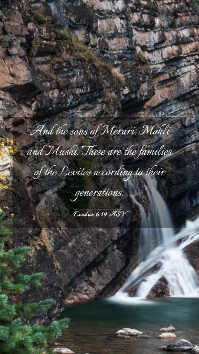 Picture 03 - Exodus 6:19 ASV Mobile Phone Wallpaper - And the sons of Merari: Mahli and Mushi. These - Mobile Bible Verse Wallpaper