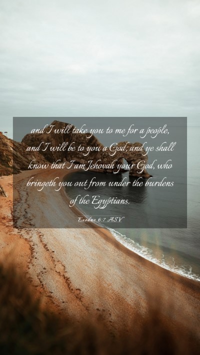 Picture 03 - Exodus 6:7 ASV Mobile Phone Wallpaper - and I will take you to me for a people, and I - Mobile Bible Verse Wallpaper