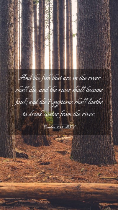 Picture 03 - Exodus 7:18 ASV Mobile Phone Wallpaper - And the fish that are in the river shall die, and - Mobile Bible Verse Wallpaper