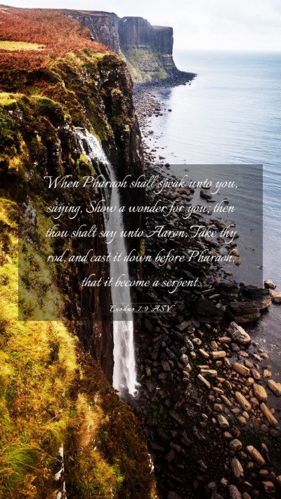 Picture 03 - Exodus 7:9 ASV Mobile Phone Wallpaper - When Pharaoh shall speak unto you, saying, Show a - Mobile Bible Verse Wallpaper