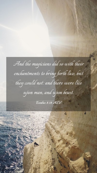 Picture 03 - Exodus 8:18 ASV Mobile Phone Wallpaper - And the magicians did so with their enchantments - Mobile Bible Verse Wallpaper