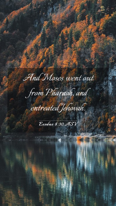 Picture 03 - Exodus 8:30 ASV Mobile Phone Wallpaper - And Moses went out from Pharaoh, and entreated - Mobile Bible Verse Wallpaper