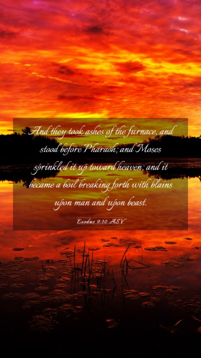 Picture 03 - Exodus 9:10 ASV Mobile Phone Wallpaper - And they took ashes of the furnace, and stood - Mobile Bible Verse Wallpaper