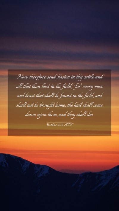Picture 03 - Exodus 9:19 ASV Mobile Phone Wallpaper - Now therefore send, hasten in thy cattle and all - Mobile Bible Verse Wallpaper