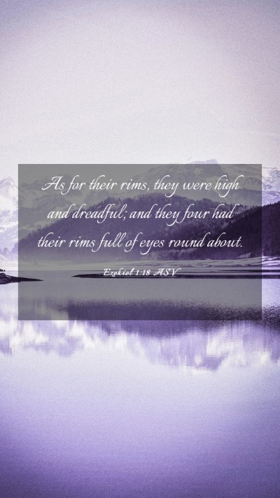 Picture 03 - Ezekiel 1:18 ASV Mobile Phone Wallpaper - As for their rims, they were high and dreadful; - Mobile Bible Verse Wallpaper