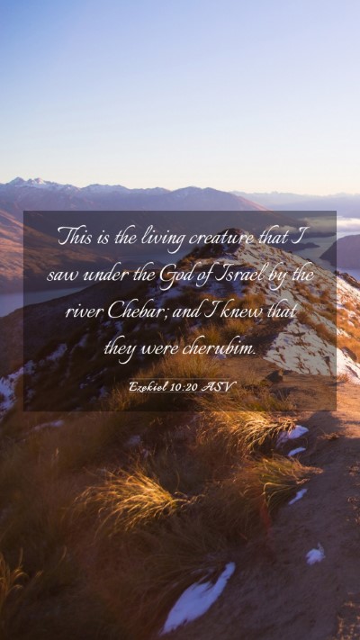 Picture 03 - Ezekiel 10:20 ASV Mobile Phone Wallpaper - This is the living creature that I saw under the - Mobile Bible Verse Wallpaper