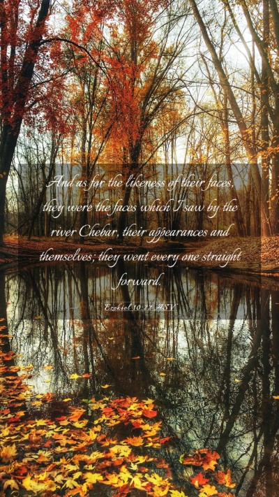 Picture 03 - Ezekiel 10:22 ASV Mobile Phone Wallpaper - And as for the likeness of their faces, they were - Mobile Bible Verse Wallpaper
