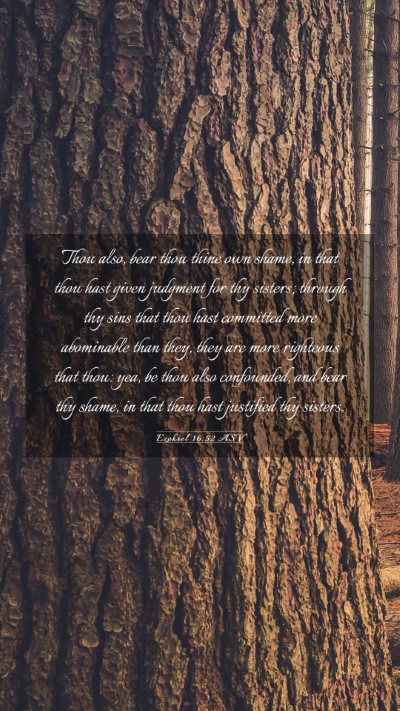 Picture 03 - Ezekiel 16:52 ASV Mobile Phone Wallpaper - Thou also, bear thou thine own shame, in that - Mobile Bible Verse Wallpaper