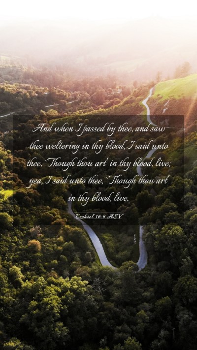 Picture 03 - Ezekiel 16:6 ASV Mobile Phone Wallpaper - And when I passed by thee, and saw thee weltering - Mobile Bible Verse Wallpaper