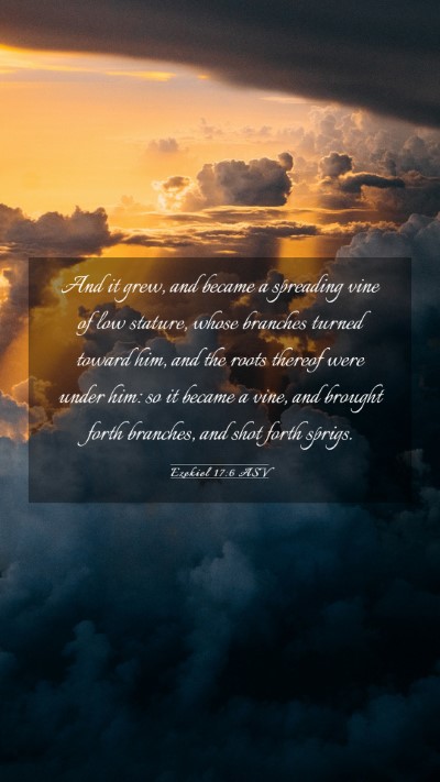 Picture 03 - Ezekiel 17:6 ASV Mobile Phone Wallpaper - And it grew, and became a spreading vine of low - Mobile Bible Verse Wallpaper