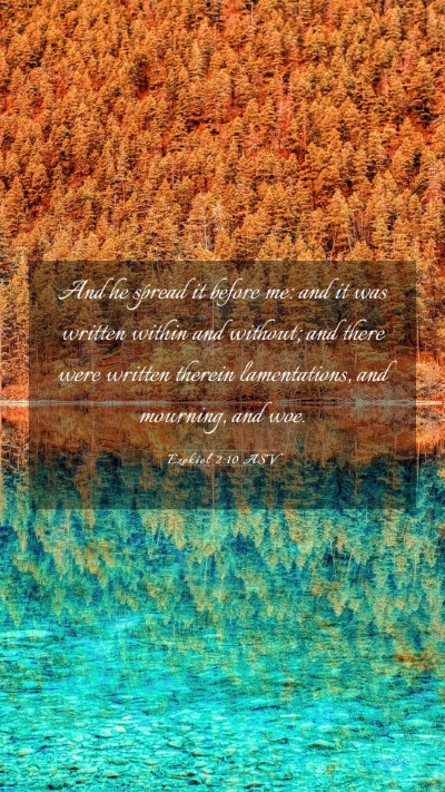 Picture 03 - Ezekiel 2:10 ASV Mobile Phone Wallpaper - And he spread it before me: and it was written - Mobile Bible Verse Wallpaper