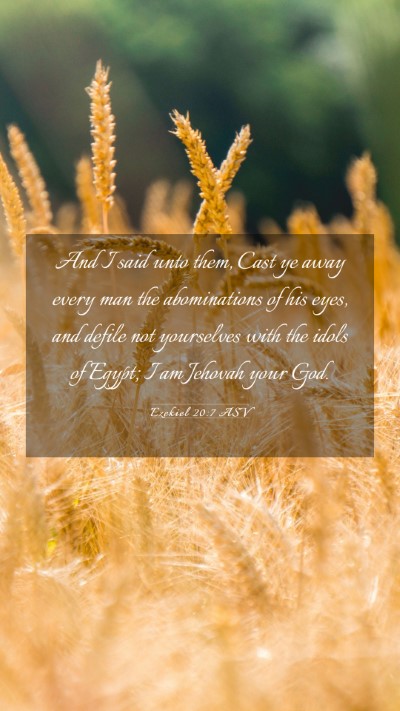 Picture 03 - Ezekiel 20:7 ASV Mobile Phone Wallpaper - And I said unto them, Cast ye away every man the - Mobile Bible Verse Wallpaper