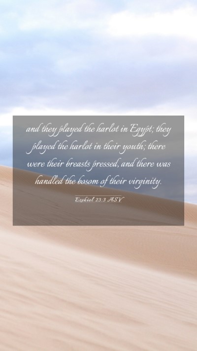 Picture 03 - Ezekiel 23:3 ASV Mobile Phone Wallpaper - and they played the harlot in Egypt; they played - Mobile Bible Verse Wallpaper