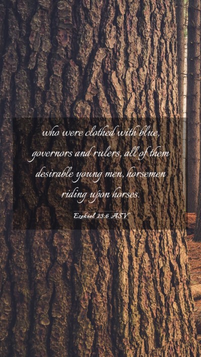 Picture 03 - Ezekiel 23:6 ASV Mobile Phone Wallpaper - who were clothed with blue, governors and rulers, - Mobile Bible Verse Wallpaper