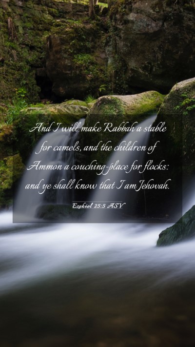 Picture 03 - Ezekiel 25:5 ASV Mobile Phone Wallpaper - And I will make Rabbah a stable for camels, and - Mobile Bible Verse Wallpaper