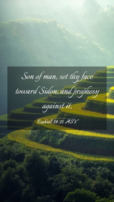 Picture 03 - Ezekiel 28:21 ASV Mobile Phone Wallpaper - Son of man, set thy face toward Sidon, and - Mobile Bible Verse Wallpaper