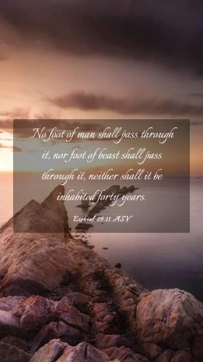 Picture 03 - Ezekiel 29:11 ASV Mobile Phone Wallpaper - No foot of man shall pass through it, nor foot of - Mobile Bible Verse Wallpaper