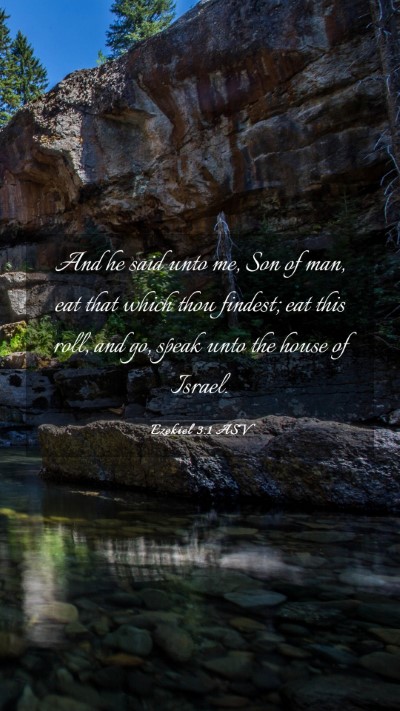 Picture 03 - Ezekiel 3:1 ASV Mobile Phone Wallpaper - And he said unto me, Son of man, eat that which - Mobile Bible Verse Wallpaper