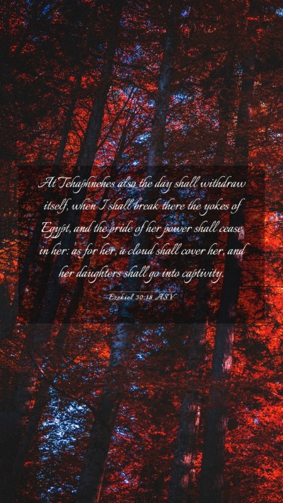 Picture 03 - Ezekiel 30:18 ASV Mobile Phone Wallpaper - At Tehaphnehes also the day shall withdraw - Mobile Bible Verse Wallpaper