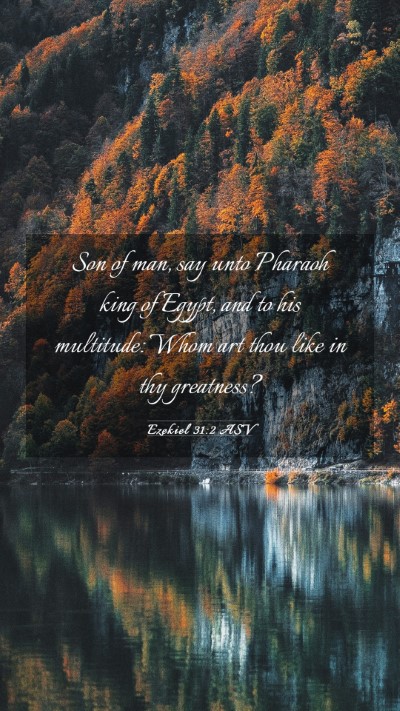 Picture 03 - Ezekiel 31:2 ASV Mobile Phone Wallpaper - Son of man, say unto Pharaoh king of Egypt, and - Mobile Bible Verse Wallpaper