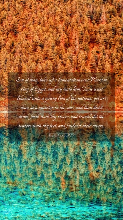 Picture 03 - Ezekiel 32:2 ASV Mobile Phone Wallpaper - Son of man, take up a lamentation over Pharaoh - Mobile Bible Verse Wallpaper