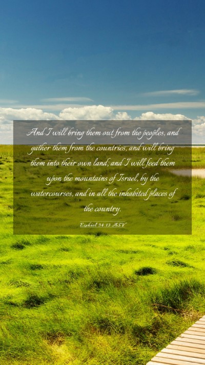 Picture 03 - Ezekiel 34:13 ASV Mobile Phone Wallpaper - And I will bring them out from the peoples, and - Mobile Bible Verse Wallpaper